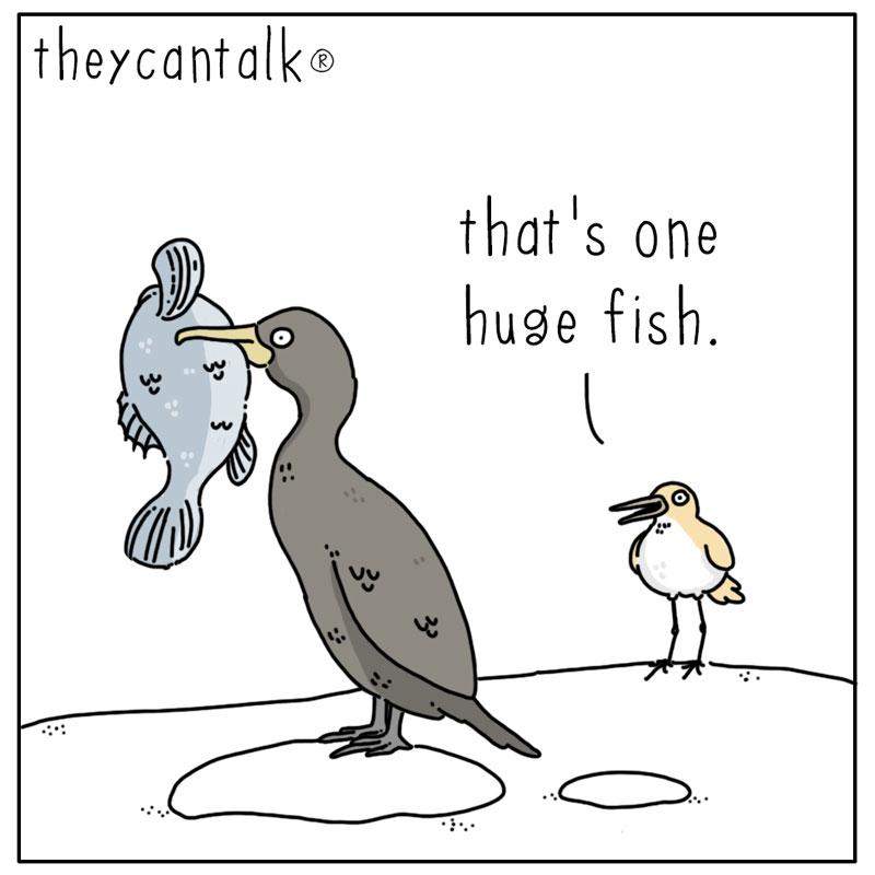 https://cdn.tinyview.com/they-can-talk/2023/06/16/feed/bird_swallow1.jpg
