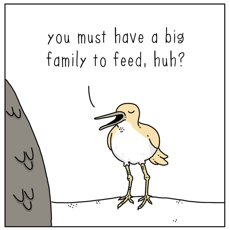 https://cdn.tinyview.com/they-can-talk/2023/06/16/feed/bird_swallow2.jpg