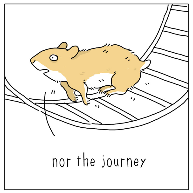 https://cdn.tinyview.com/they-can-talk/2023/06/19/wheel/hamster_wheel2.jpg
