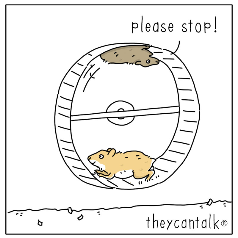 https://cdn.tinyview.com/they-can-talk/2023/06/19/wheel/hamster_wheel4.jpg