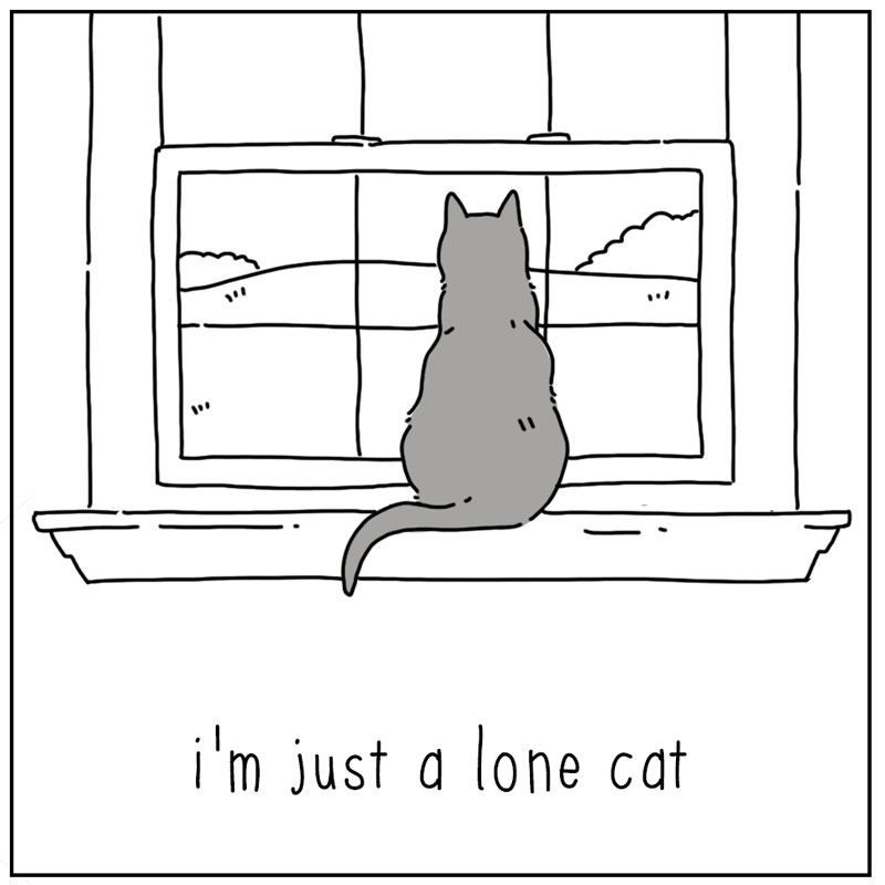 https://cdn.tinyview.com/they-can-talk/2023/06/23/antisocial/cat_antisocial1.jpg