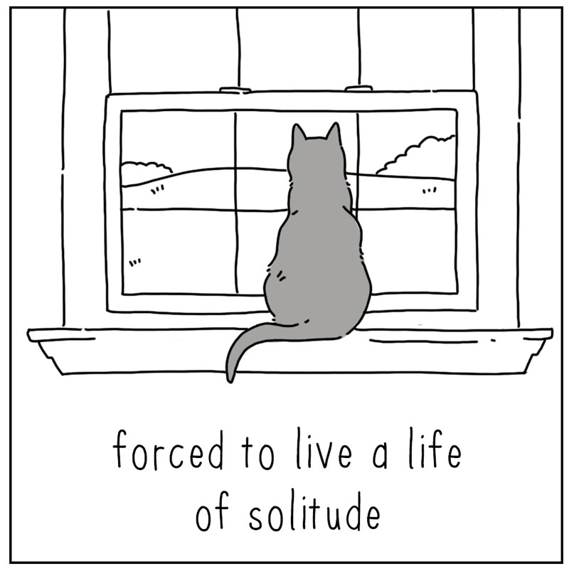 https://cdn.tinyview.com/they-can-talk/2023/06/23/antisocial/cat_antisocial2.jpg