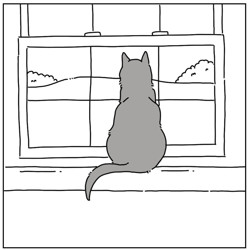 https://cdn.tinyview.com/they-can-talk/2023/06/23/antisocial/cat_antisocial3.jpg