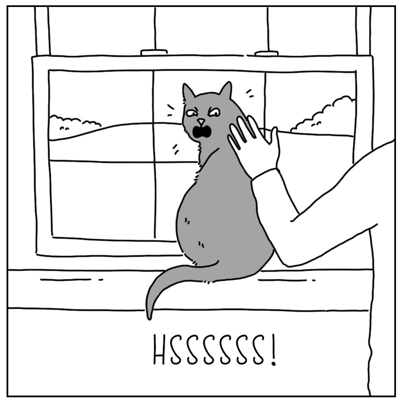 https://cdn.tinyview.com/they-can-talk/2023/06/23/antisocial/cat_antisocial4.jpg