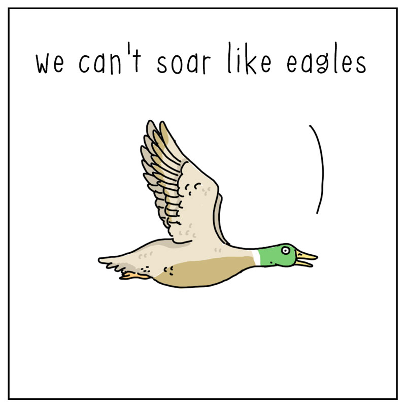 https://cdn.tinyview.com/they-can-talk/2023/06/26/soar/duck_soar2.jpg