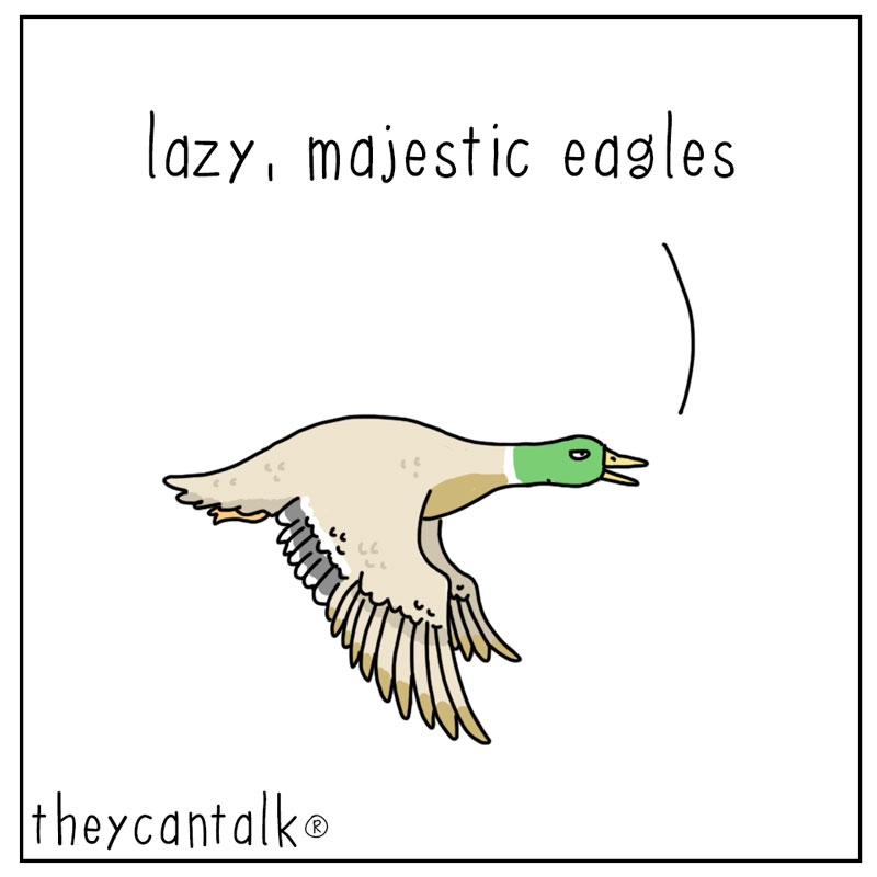https://cdn.tinyview.com/they-can-talk/2023/06/26/soar/duck_soar3.jpg