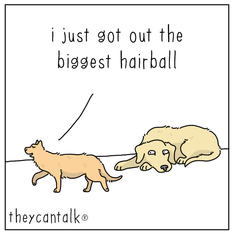 https://cdn.tinyview.com/they-can-talk/2023/07/03/light/cat_feelcouldfly1.jpg