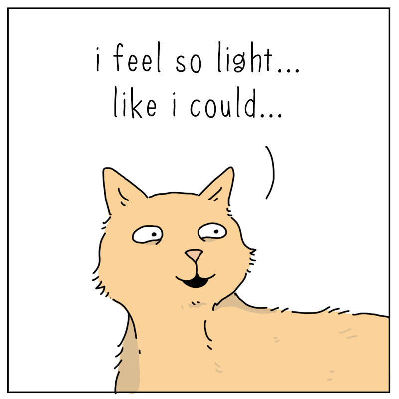 https://cdn.tinyview.com/they-can-talk/2023/07/03/light/cat_feelcouldfly2.jpg