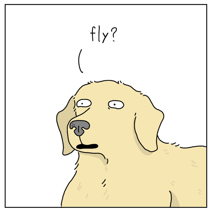 https://cdn.tinyview.com/they-can-talk/2023/07/03/light/cat_feelcouldfly3.jpg