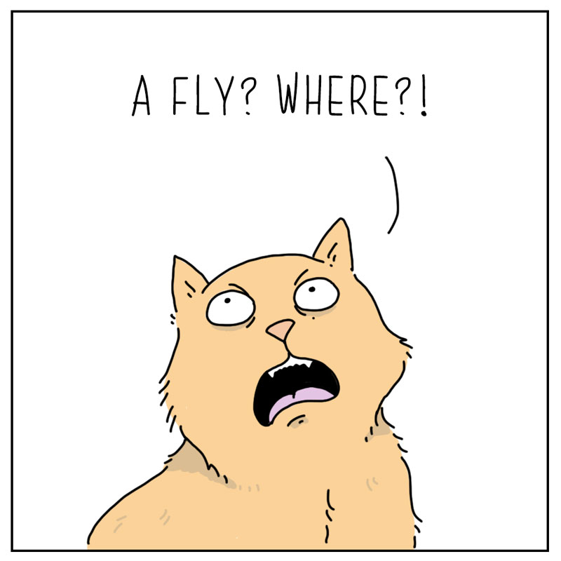 https://cdn.tinyview.com/they-can-talk/2023/07/03/light/cat_feelcouldfly4.jpg