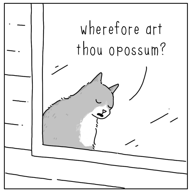 https://cdn.tinyview.com/they-can-talk/2023/07/07/poetry/possum_shakespeare2.jpg