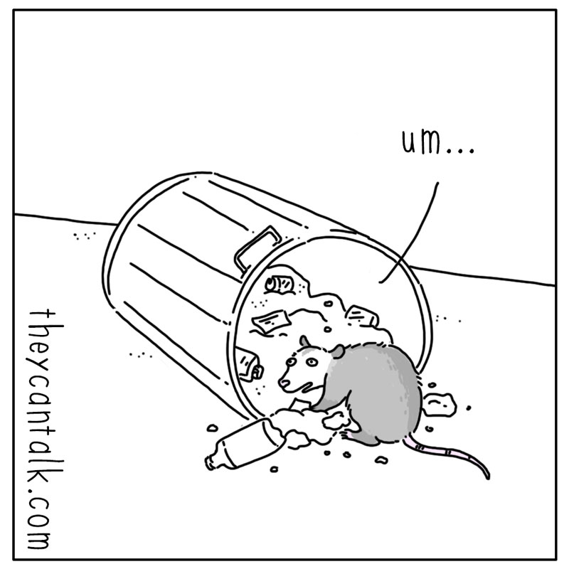 https://cdn.tinyview.com/they-can-talk/2023/07/07/poetry/possum_shakespeare3.jpg