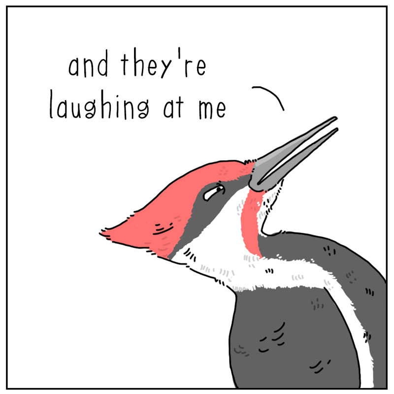 https://cdn.tinyview.com/they-can-talk/2023/07/10/pecking/woodpecker_laughing3.jpg