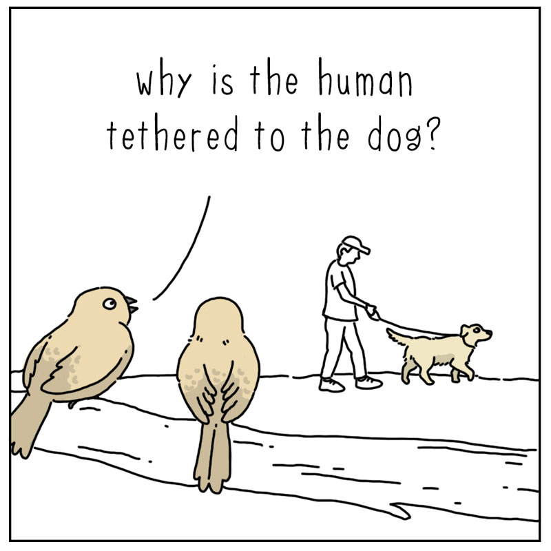 https://cdn.tinyview.com/they-can-talk/2023/07/17/tethered/dog_tethered1.jpg