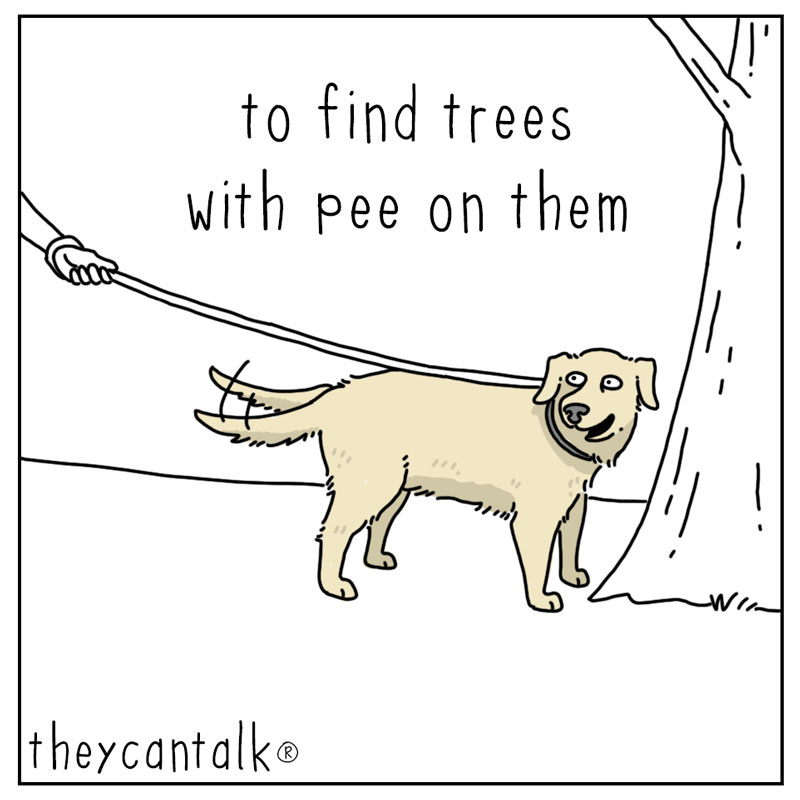 https://cdn.tinyview.com/they-can-talk/2023/07/17/tethered/dog_tethered3.jpg