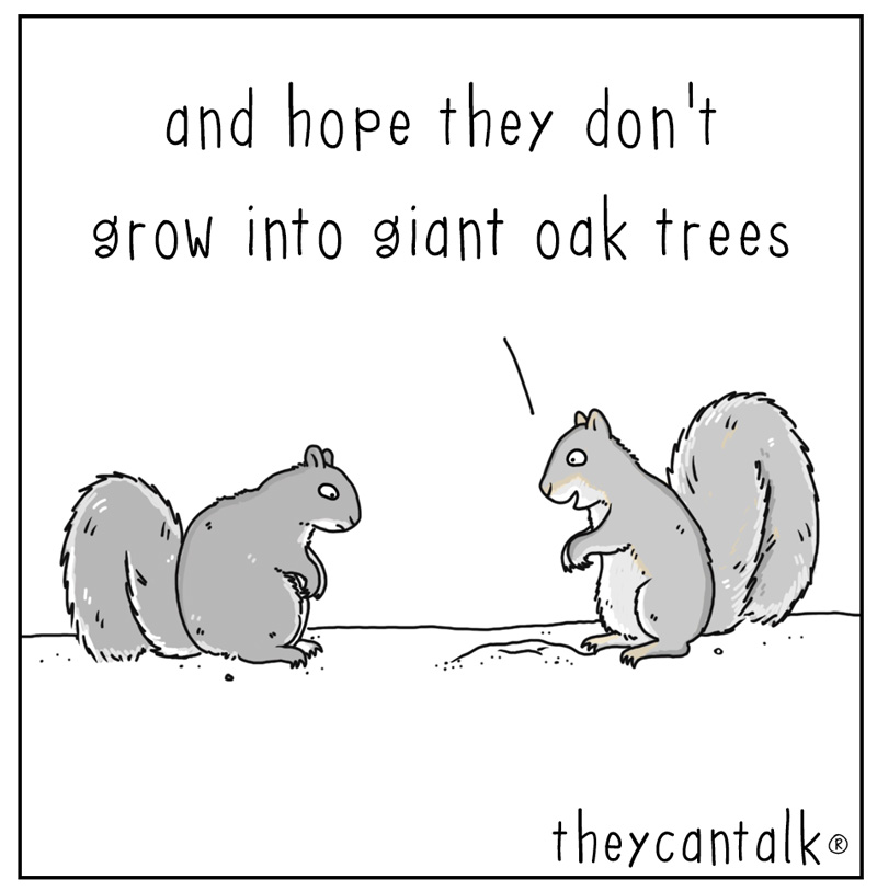 https://cdn.tinyview.com/they-can-talk/2023/07/21/feelings/squirrel_acorns3.jpg