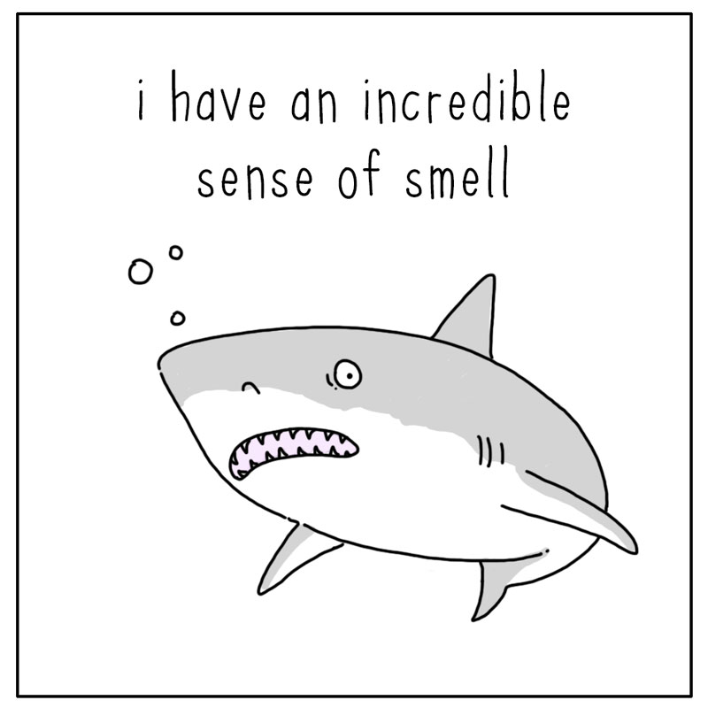 https://cdn.tinyview.com/they-can-talk/2023/07/24/smell/shark_poop1.jpg
