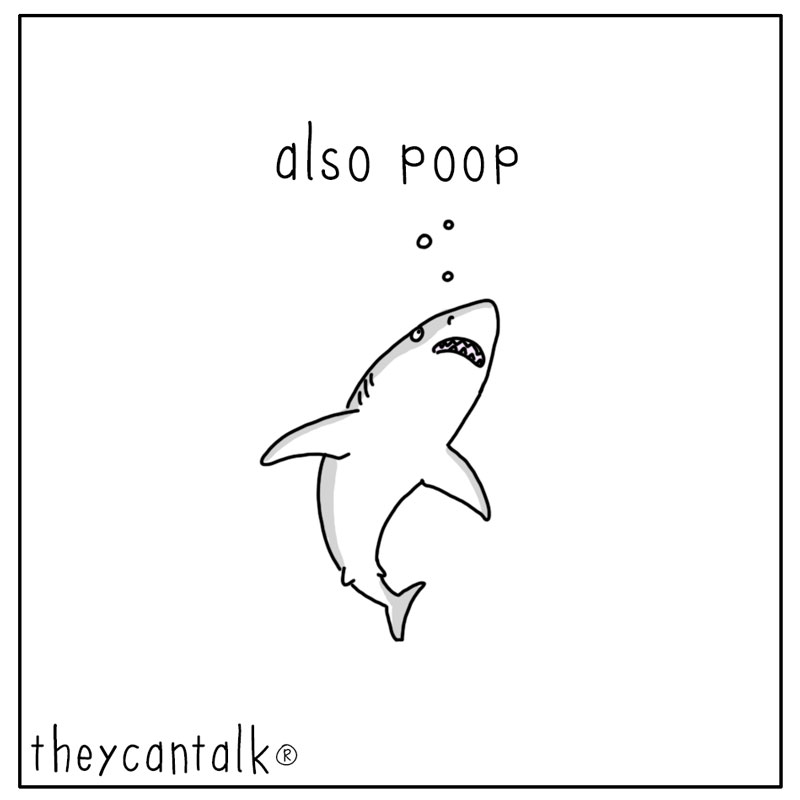 https://cdn.tinyview.com/they-can-talk/2023/07/24/smell/shark_poop3.jpg