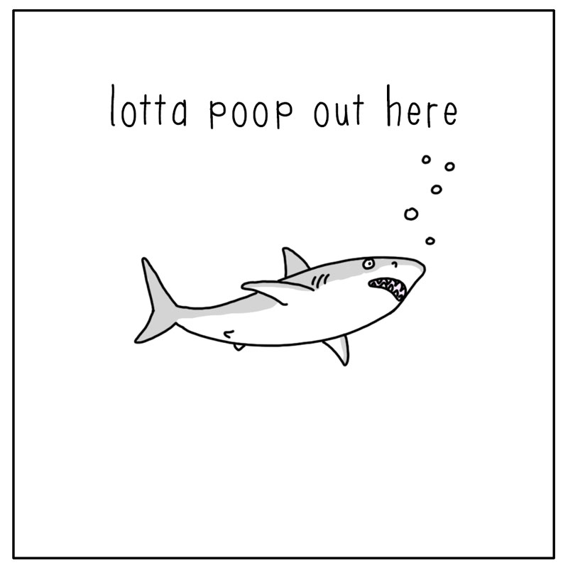 https://cdn.tinyview.com/they-can-talk/2023/07/24/smell/shark_poop4.jpg