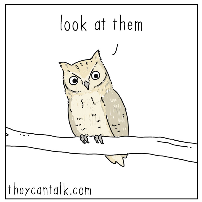 https://cdn.tinyview.com/they-can-talk/2023/08/04/reconsider/owl_donut-copy1.jpg