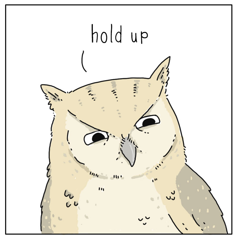 https://cdn.tinyview.com/they-can-talk/2023/08/04/reconsider/owl_donut-copy3.jpg