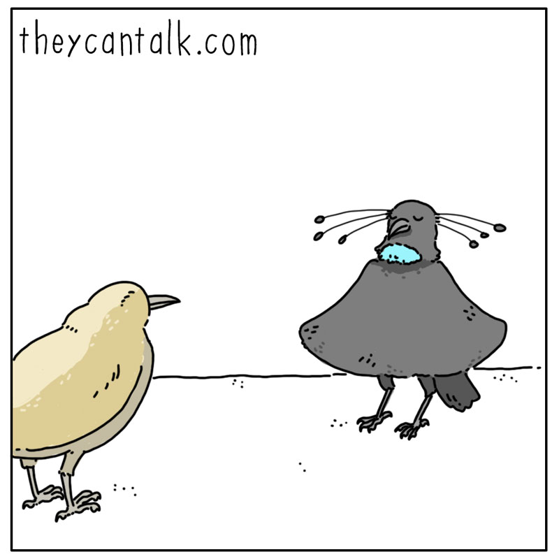 https://cdn.tinyview.com/they-can-talk/2023/08/11dance/bird_dance1.jpg