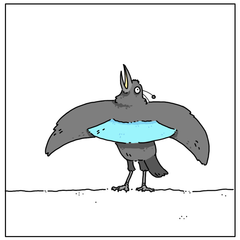 https://cdn.tinyview.com/they-can-talk/2023/08/11dance/bird_dance2.jpg