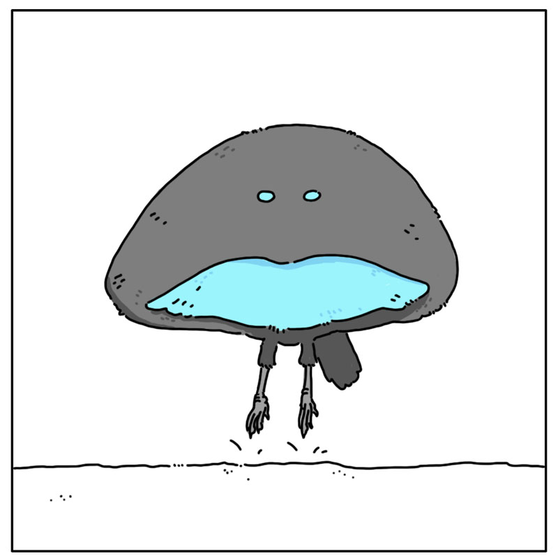https://cdn.tinyview.com/they-can-talk/2023/08/11dance/bird_dance3.jpg