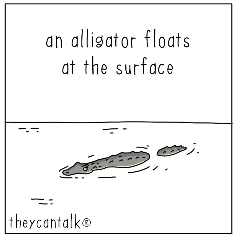 https://cdn.tinyview.com/they-can-talk/2023/08/14/float/alligator_relax1.jpg