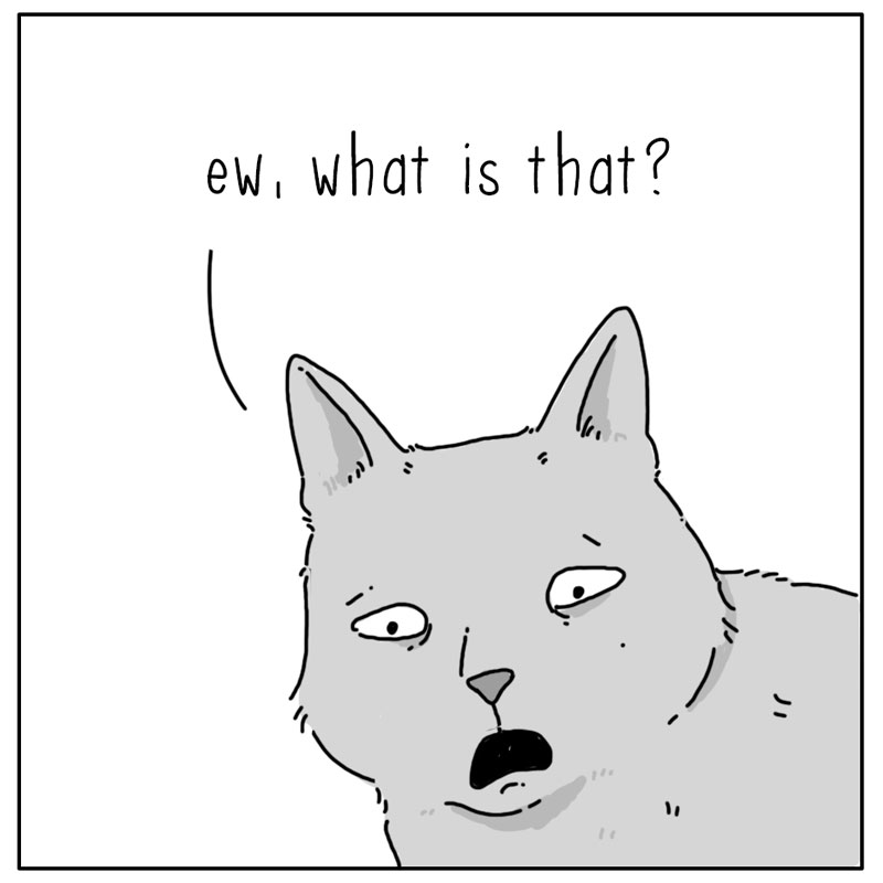 https://cdn.tinyview.com/they-can-talk/2023/08/18/unknown/dog_research1.jpg