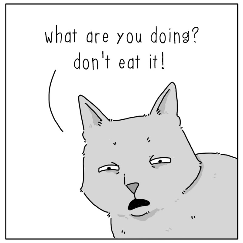 https://cdn.tinyview.com/they-can-talk/2023/08/18/unknown/dog_research2.jpg