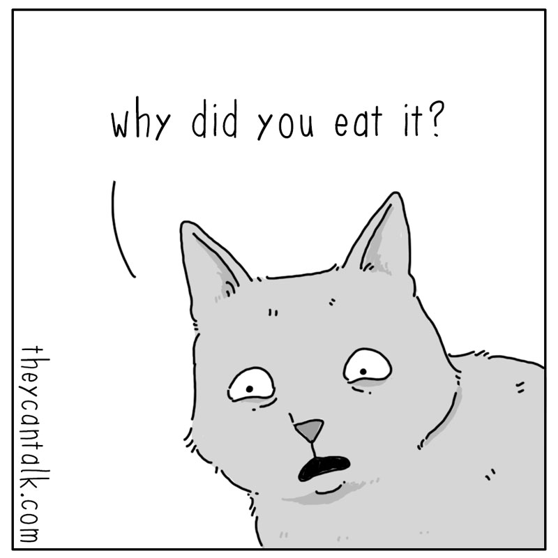 https://cdn.tinyview.com/they-can-talk/2023/08/18/unknown/dog_research3.jpg