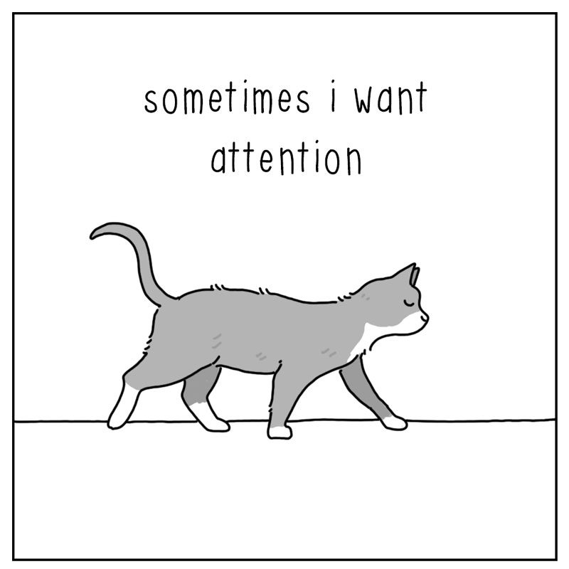 https://cdn.tinyview.com/they-can-talk/2023/08/21/attention/cat_attention2.jpg