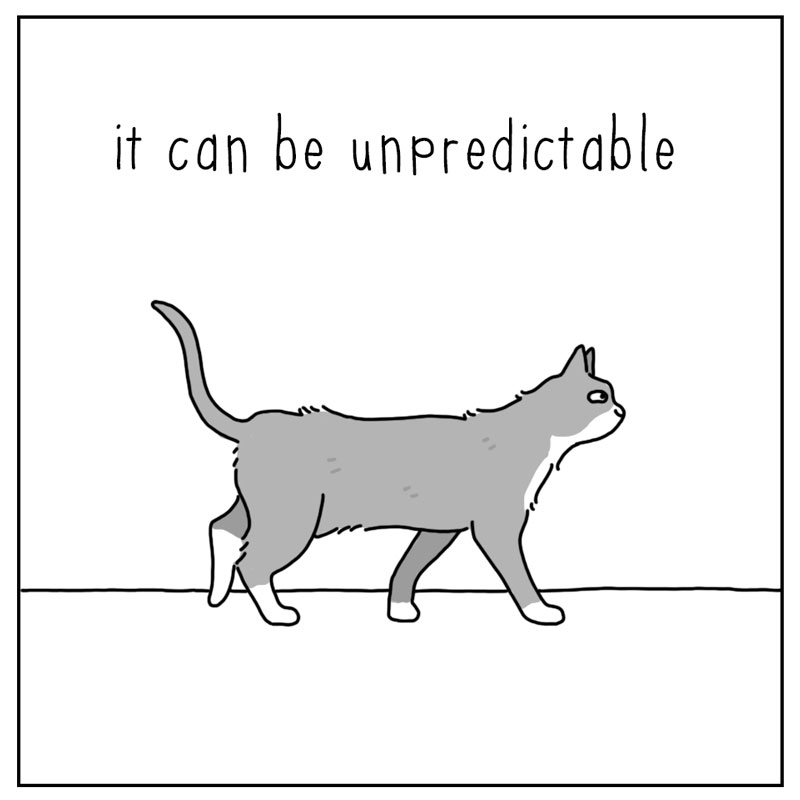 https://cdn.tinyview.com/they-can-talk/2023/08/21/attention/cat_attention3.jpg