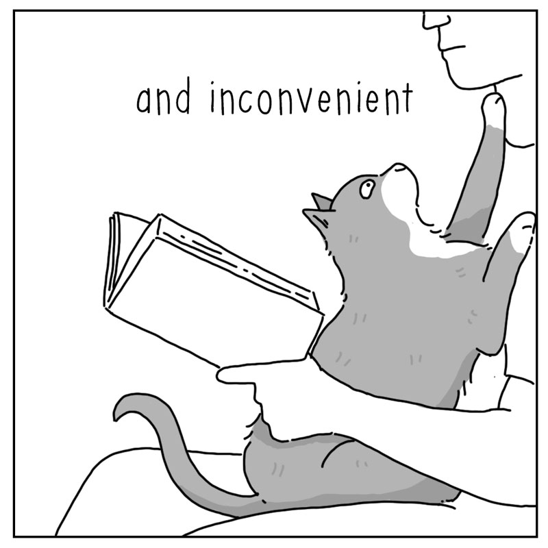 https://cdn.tinyview.com/they-can-talk/2023/08/21/attention/cat_attention4.jpg