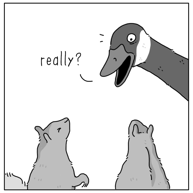 https://cdn.tinyview.com/they-can-talk/2023/08/25/singing/goose_singing2.jpg
