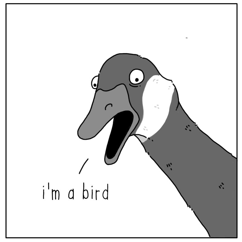 https://cdn.tinyview.com/they-can-talk/2023/08/25/singing/goose_singing3.jpg
