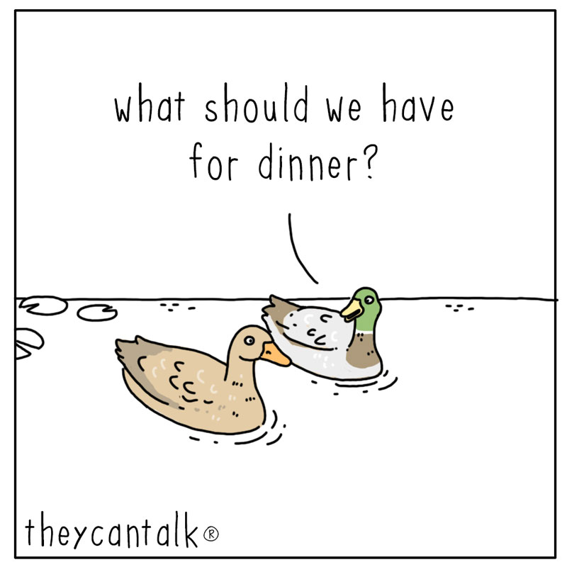 https://cdn.tinyview.com/they-can-talk/2023/08/28/dinner-plans/ducks_soup1.jpg
