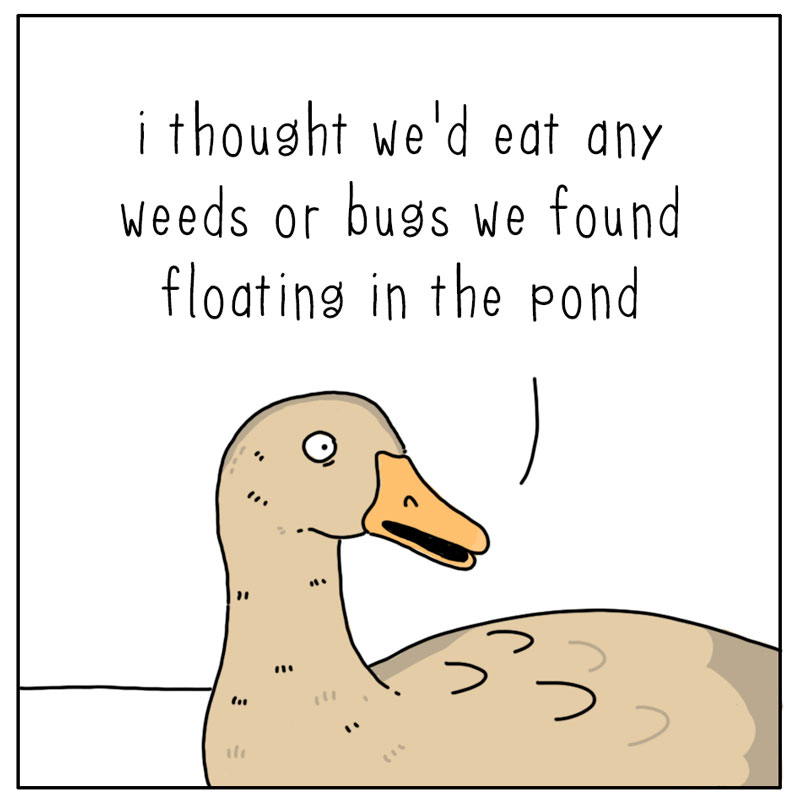 https://cdn.tinyview.com/they-can-talk/2023/08/28/dinner-plans/ducks_soup2.jpg