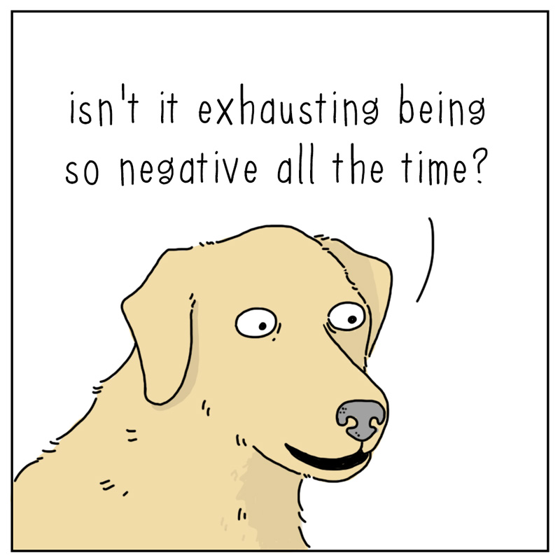https://cdn.tinyview.com/they-can-talk/2023/08/31/positive/dog_positive2.jpg