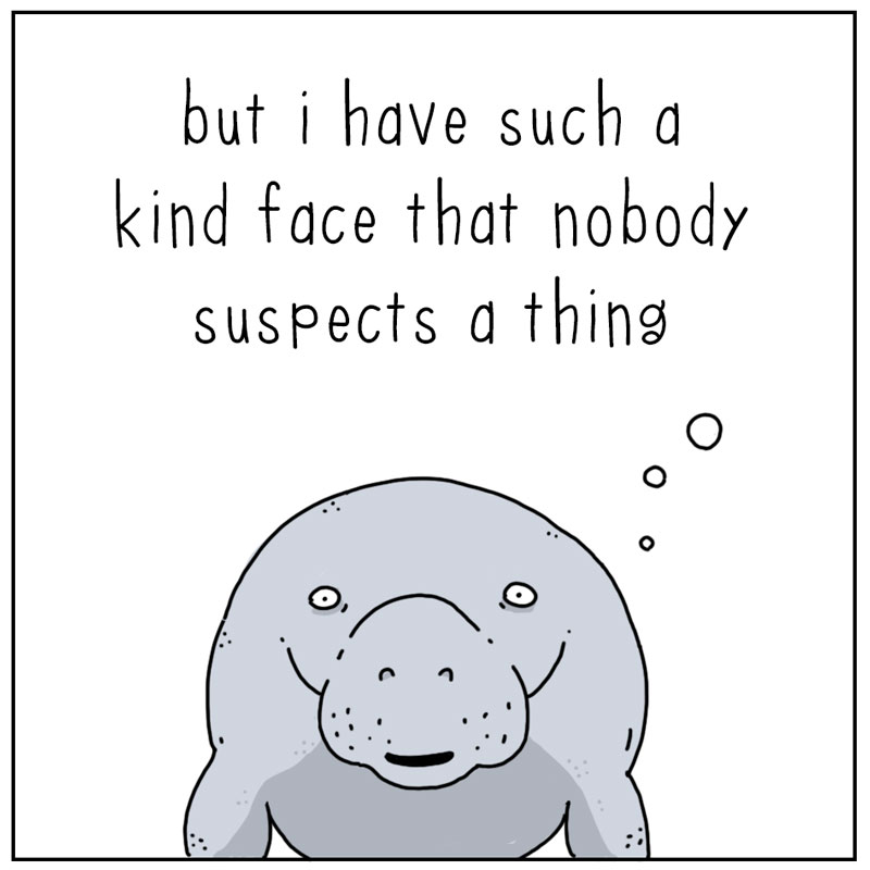 https://cdn.tinyview.com/they-can-talk/2023/09/09/mean/manatee_mean2.jpg