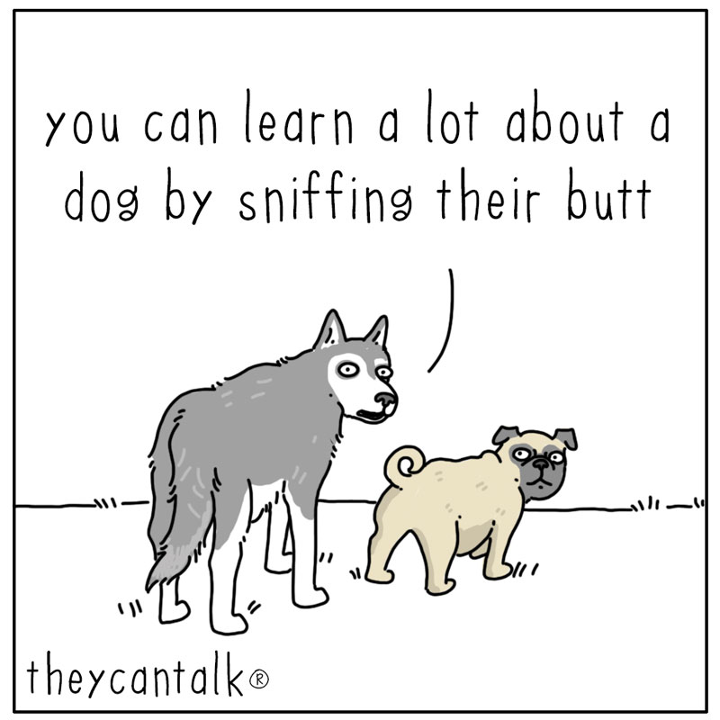 https://cdn.tinyview.com/they-can-talk/2023/09/17/butt/dog_sniffbutt.jpg