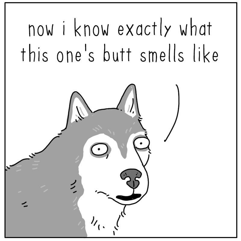 https://cdn.tinyview.com/they-can-talk/2023/09/17/butt/dog_sniffbutt3.jpg