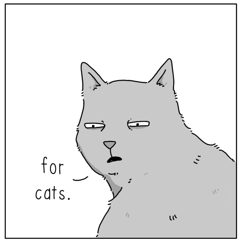 https://cdn.tinyview.com/they-can-talk/2023/09/21/treat/cat_treats4.jpg