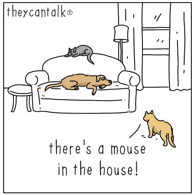 https://cdn.tinyview.com/they-can-talk/2023/09/25/mouse/mouse_intruder1.jpg