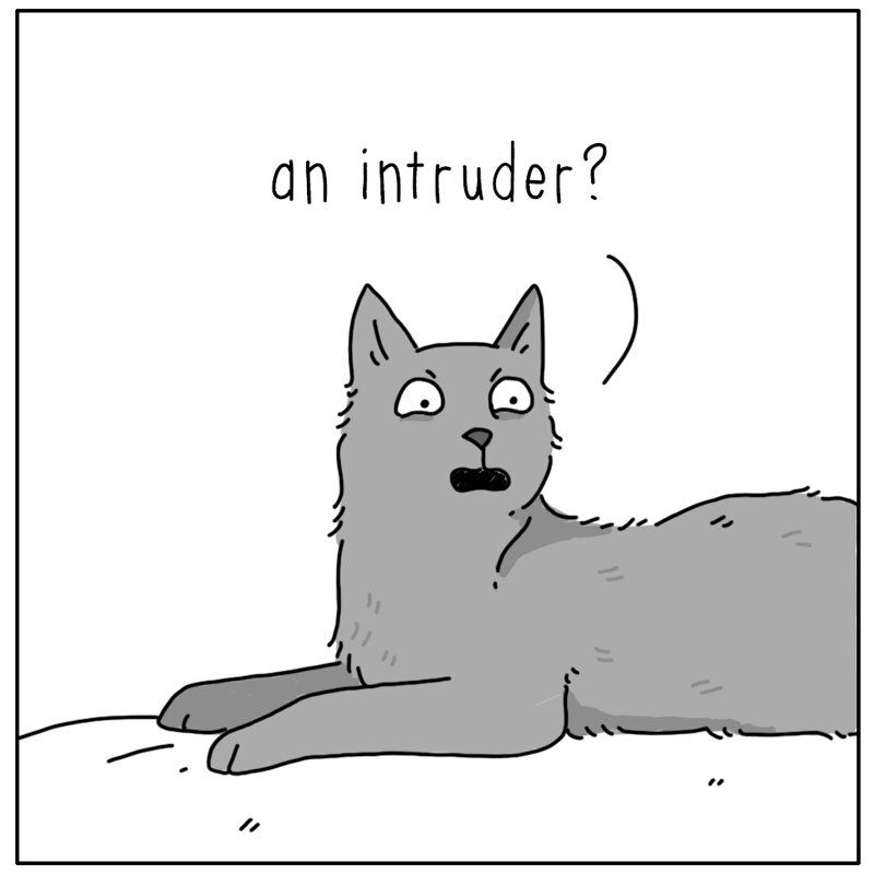 https://cdn.tinyview.com/they-can-talk/2023/09/25/mouse/mouse_intruder2.jpg