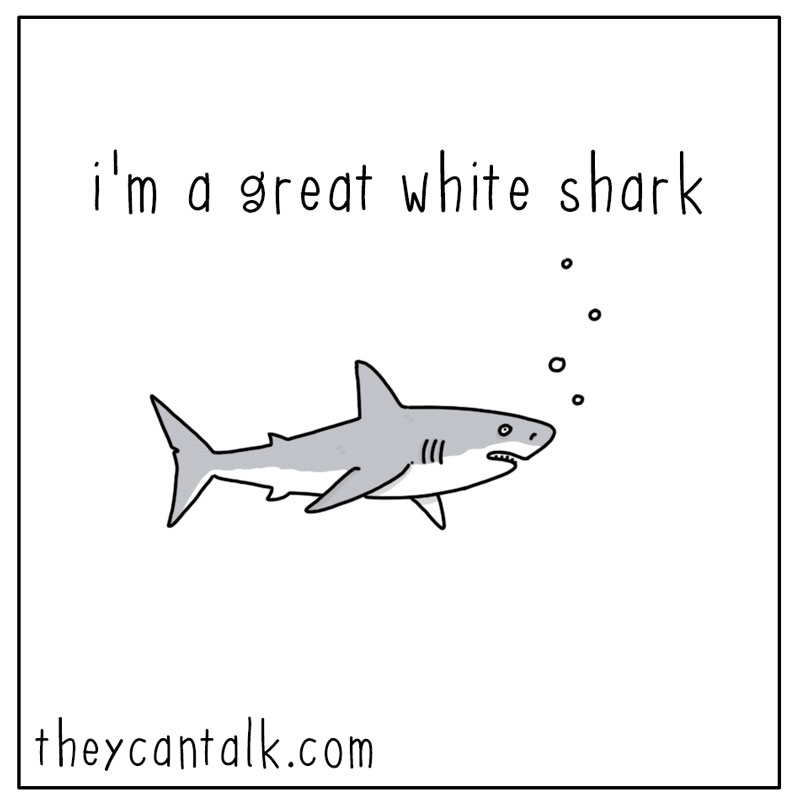 https://cdn.tinyview.com/they-can-talk/2023/09/29/great/shark_greatest1.jpg