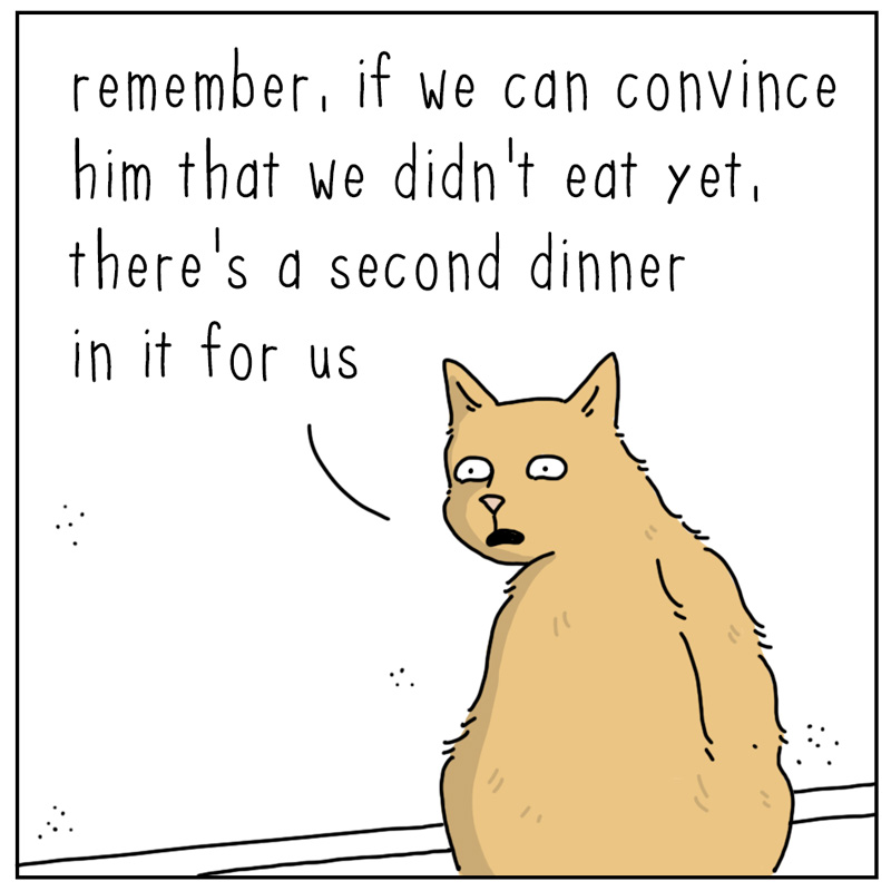 https://cdn.tinyview.com/they-can-talk/2023/10/02/showtime/cat_training2.jpg
