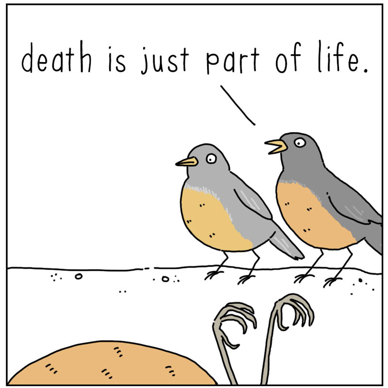 https://cdn.tinyview.com/they-can-talk/2023/10/06/death/birds_death1.jpg