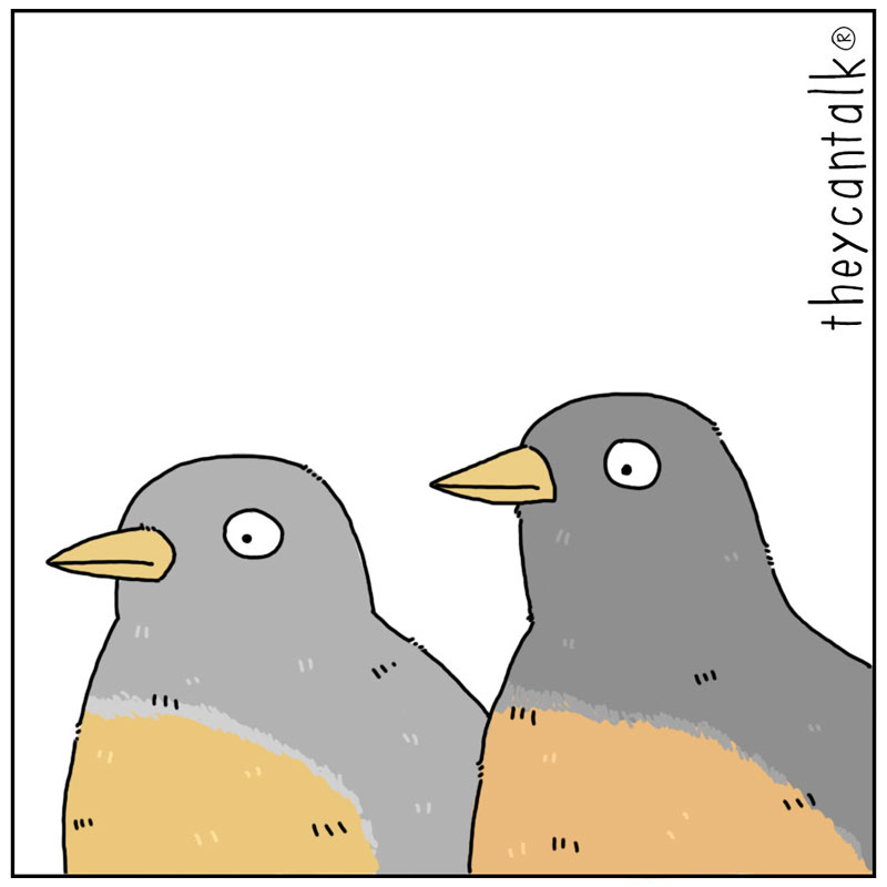 https://cdn.tinyview.com/they-can-talk/2023/10/06/death/birds_death2.jpg